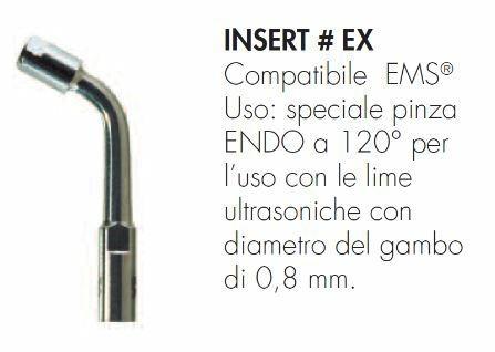 INSERT #EX