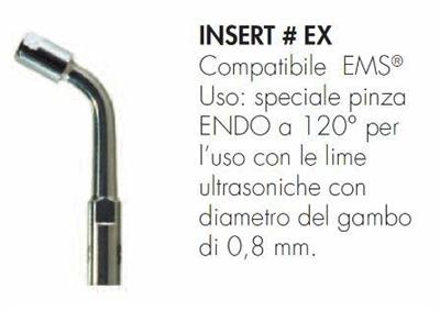 INSERT #EX